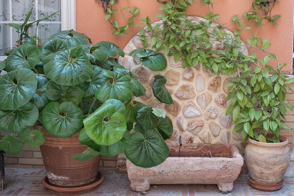 Hotel La Posada La Palma  Dış mekan fotoğraf